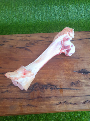 Leg Bone (each)